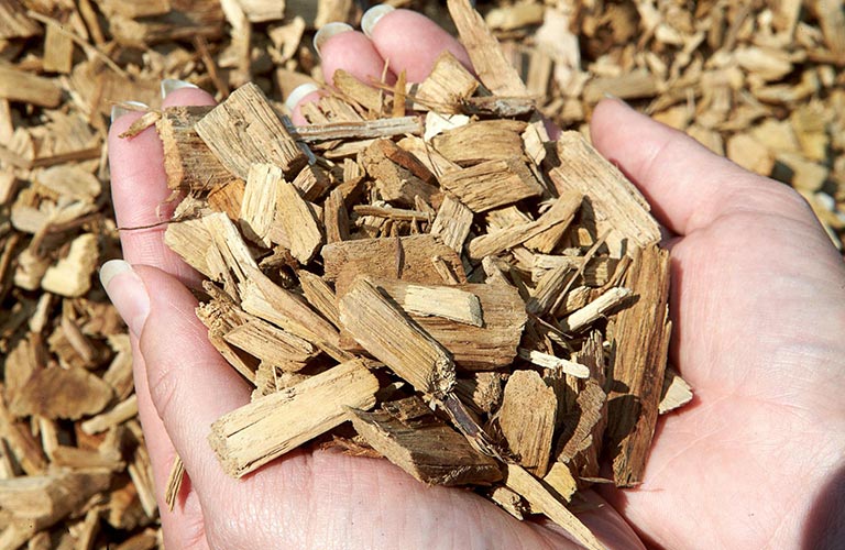 Vente de bois