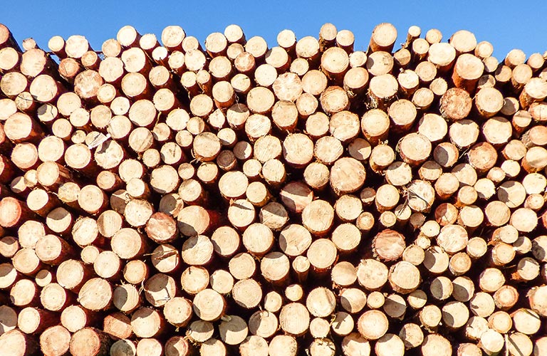 Bois compressé